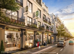 Thiết kế Shophouse