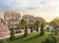 Thiết kế biệt thự song lập